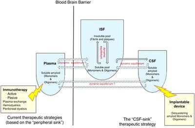 Targeting Beta-Amyloid at the CSF: A New Therapeutic Strategy in Alzheimer’s Disease